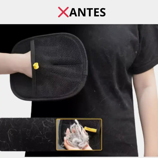 ¿Cansado de pelear con el pelo en tu casa? Esto se acaba hoy 🐾