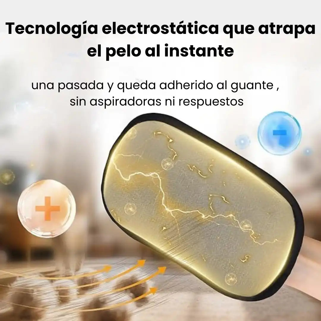 ¿Cansado de pelear con el pelo en tu casa? Esto se acaba hoy 🐾