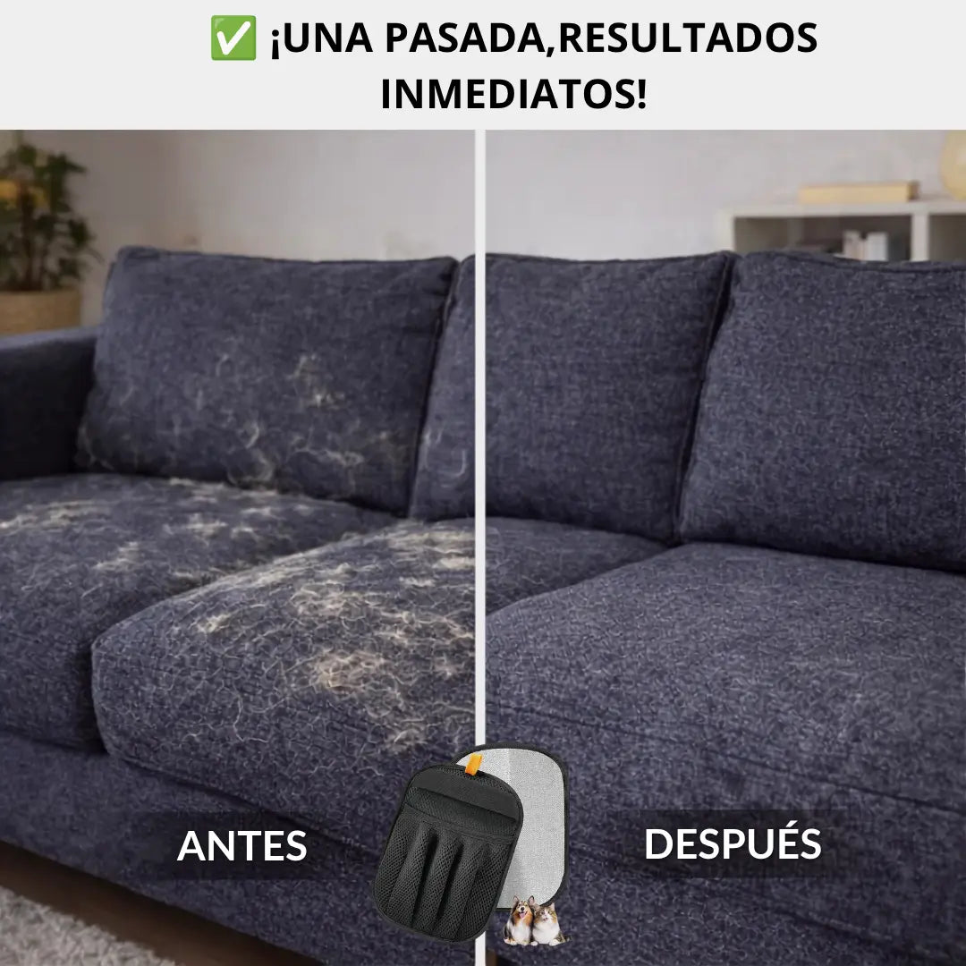 ¿Cansado de pelear con el pelo en tu casa? Esto se acaba hoy 🐾